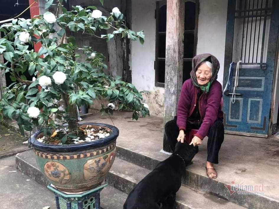 Cụ bà hạnh phúc nhất Việt Nam: 108 tuổi, có 114 cháu, chắt