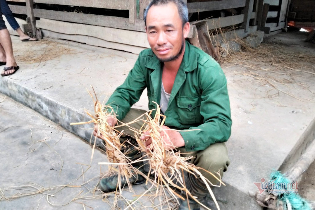 Cưa sừng, hứng máu: Nghề hiếm, kiếm bộn tiền ở Hà Tĩnh