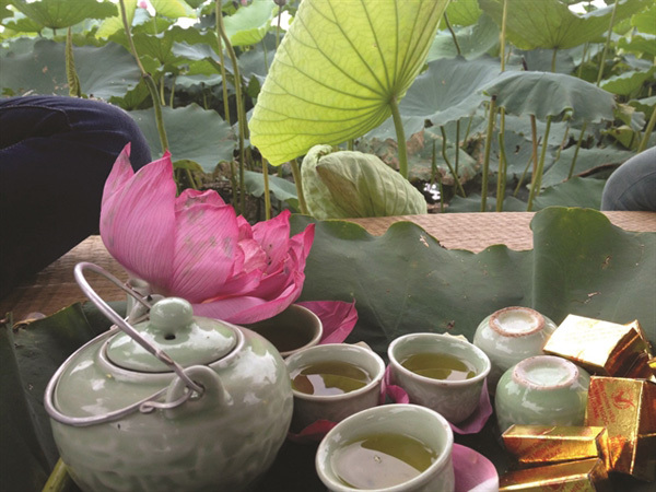 A potted history of Vietnamese tea