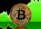 Giá Bitcoin tăng vượt 44.000 USD