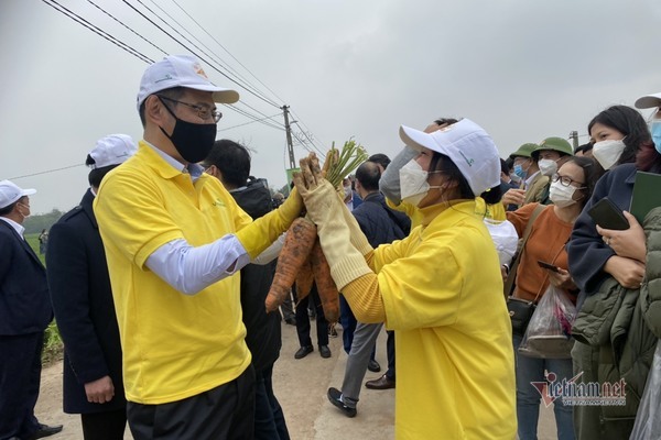 Lễ hội độc đáo, người chơi thắng cuộc được thưởng 1 củ cà rốt