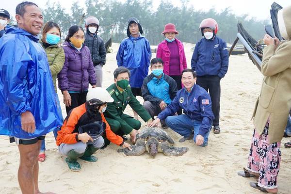 Cá thể vích quý hiếm nặng 50kg mắc lưới ngư dân Quảng Trị