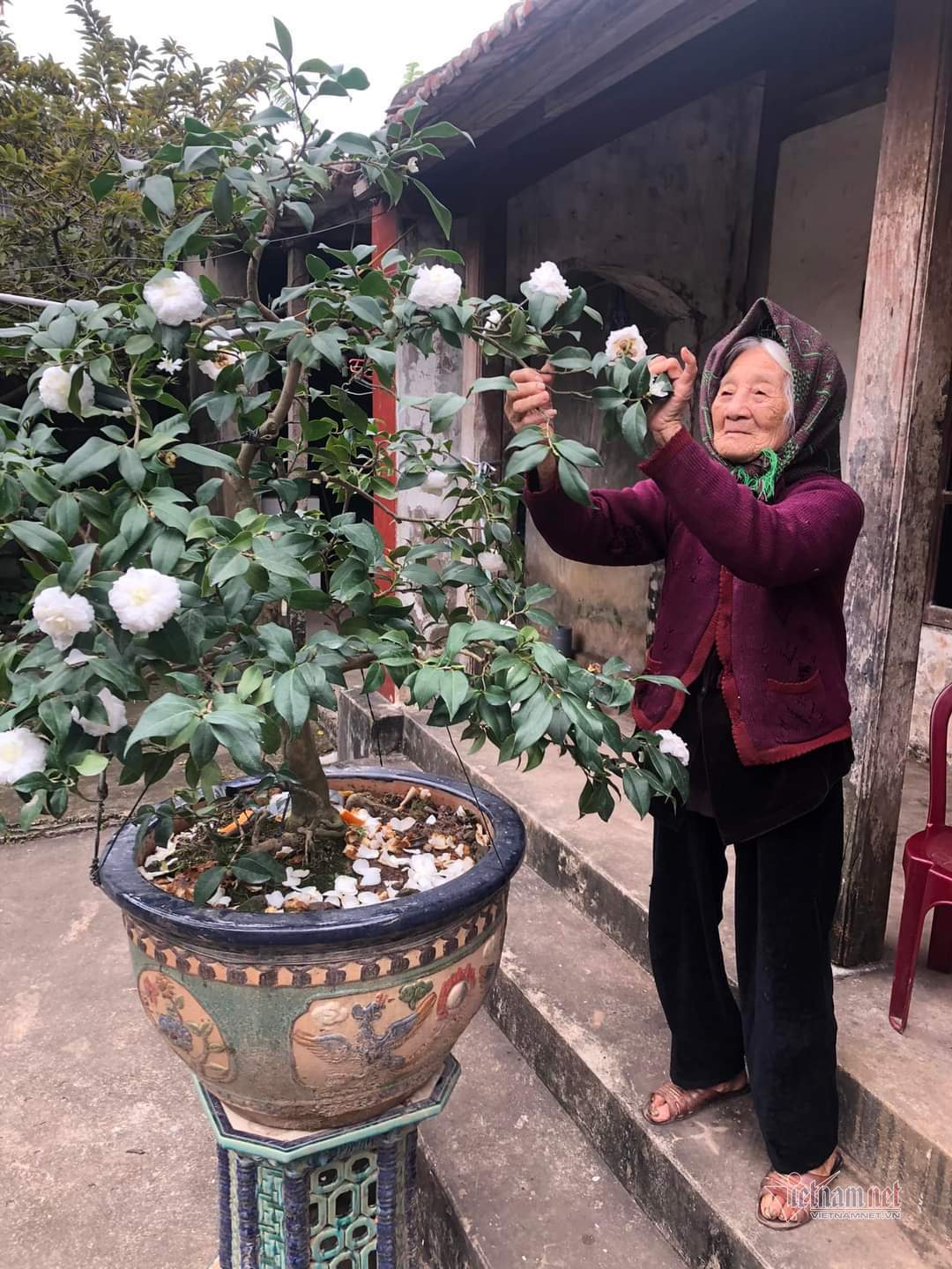 Happiest woman in Vietnam: 108 years old with 114 grandchildren, great-grandchildren