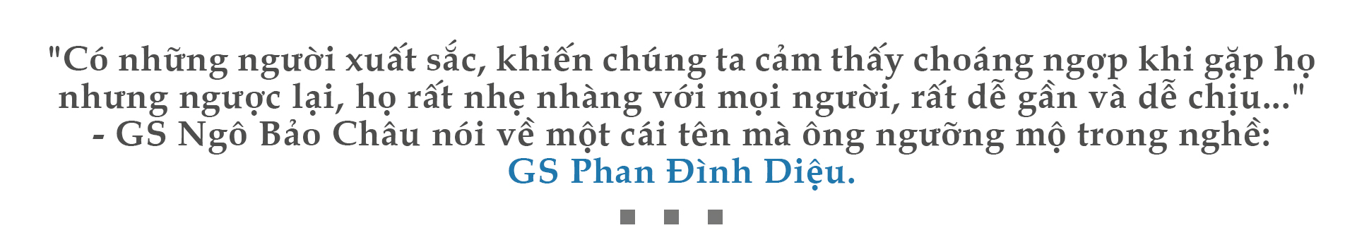 GS Phan Đình Diệu,GS Ngô Bảo Châu