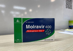 Những người không thể dùng thuốc Molnupiravir điều trị Covid-19