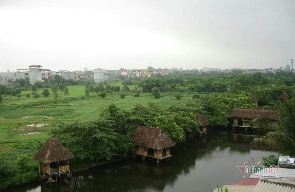 Quận Long Biên nói lấp hồ tự nhiên lấy đất phân lô là theo quy hoạch