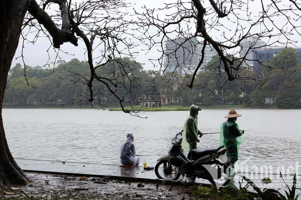 Mưa rét buốt ở Hà Nội, cần thủ vẫn dầm mình ở hồ Gươm