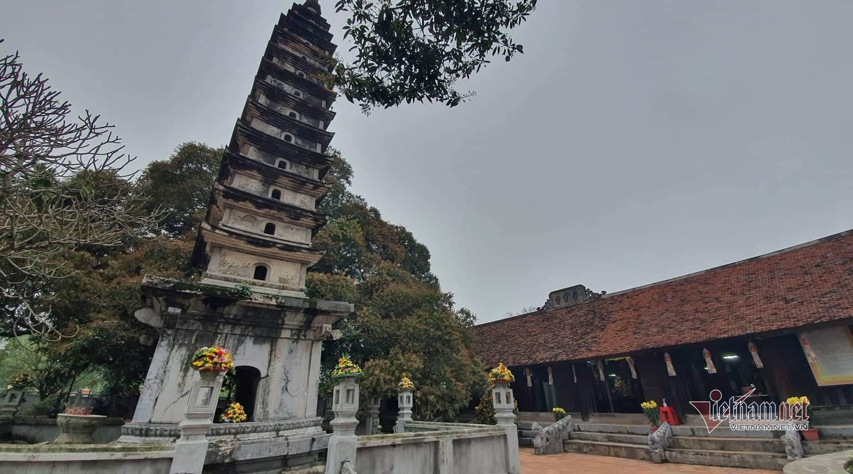 The 'green treasures' in an 800-year-old pagoda