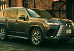 Khách mua Lexus LX 600 phải chờ 4 năm