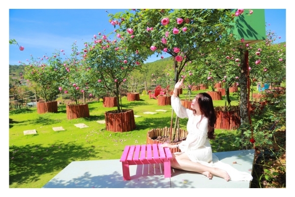 Khu vườn 5.500m2 rực rỡ sắc hoa của người phụ nữ ở Đà Lạt