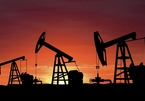 Giá dầu tiếp tục tăng mạnh, lên 97,35 USD/thùng