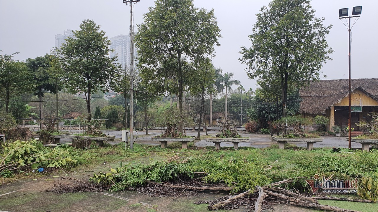 Hàng chục ao, hồ tự nhiên của quận Long Biên 'biến mất'