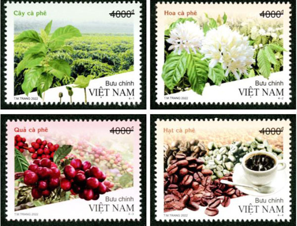 Phát hành bộ tem bưu chính đặc tả quá trình sinh trưởng của cây cà phê
