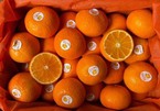 Giữa lúc cam, quýt tăng giá, nhiều loại trái cây sang chảnh rẻ bất ngờ