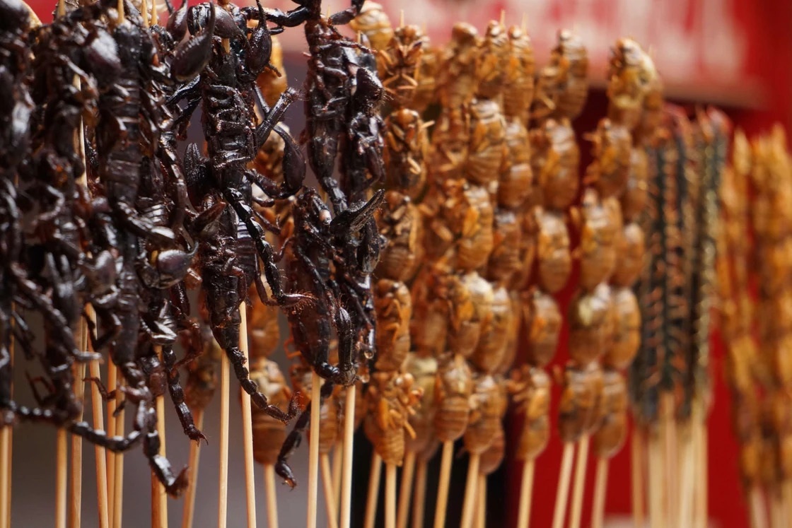 Những khu chợ ẩm thực kỳ lạ nhất thế giới