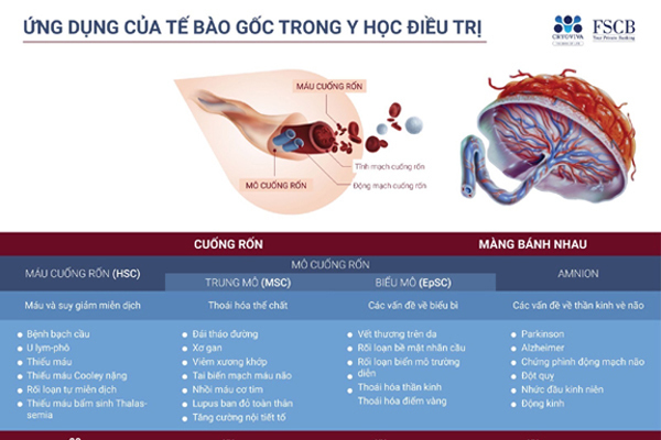 Lưu trữ tế bào gốc chuẩn AABB chỉ từ 35,5 triệu đồng