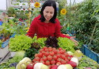 Nữ giáo viên mê trồng rau, về quê chở đất lên phố làm vườn sân thượng