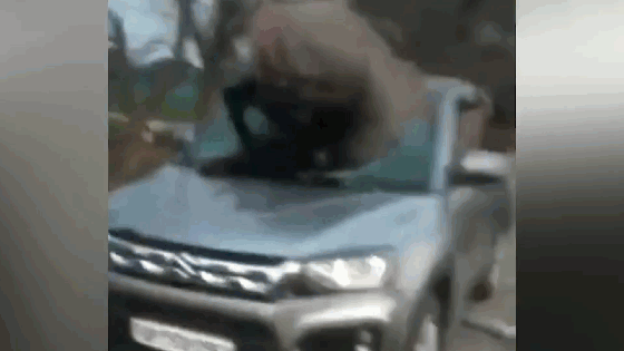 Khoảnh khắc tài xế siêu xe bị cướp tấn công