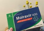 Bổ sung hướng dẫn sử dụng thuốc Molnupiravir và Remdesivir trong điều trị Covid-19