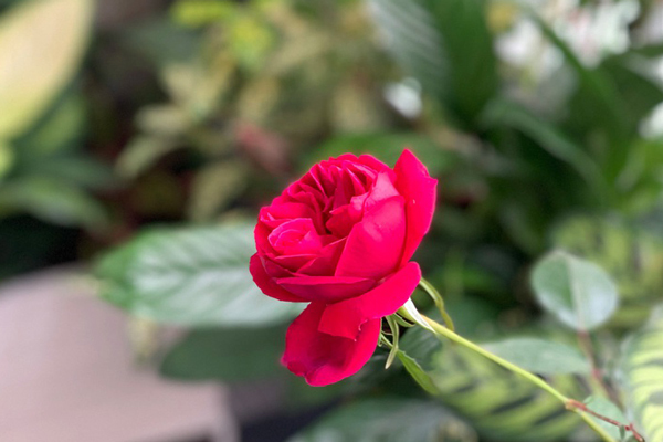 Có vợ vẫn trót lọt lừa tình 2 cô gái, chỉ bại lộ khi hai người họ gặp nhau