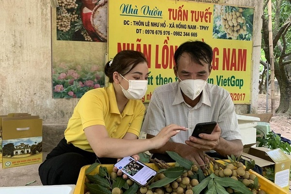 10 triệu tài khoản của nông hộ hoạt động trên sàn TMĐT năm 2022