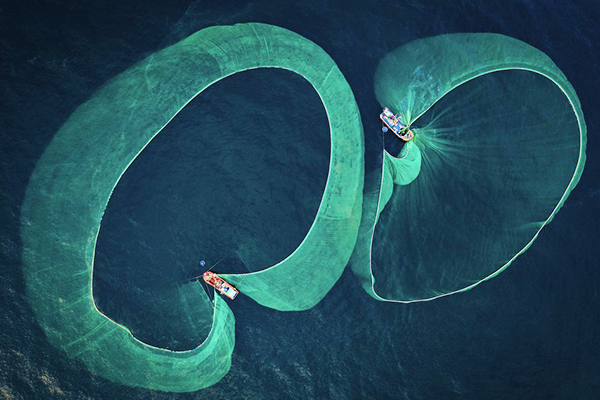 Tác phẩm 'đánh cá cơm' của Việt Nam giành giải nhất cuộc thi quốc tế