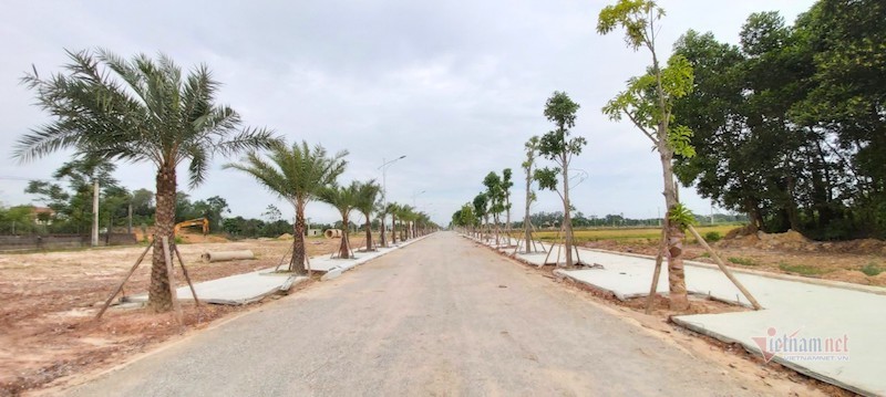 Thai Nguyen stipulates that more than 3 land plots must be separated to establish a project