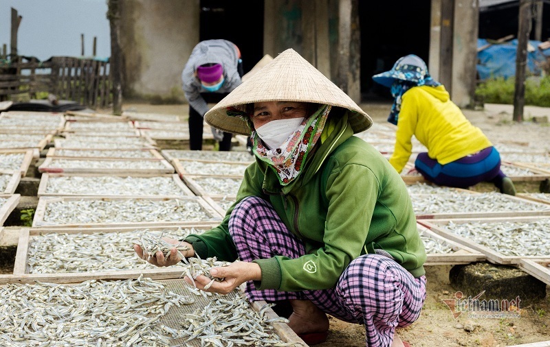 Đêm tối đen giong thuyền ra biển, vượt sóng săn loài cá 'sợ trăng'