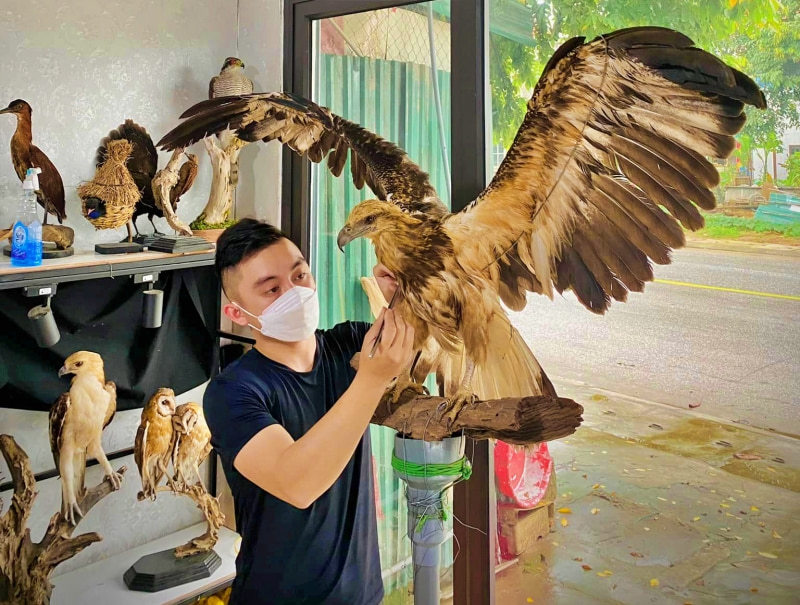 9X Nghệ An hồi sinh thú cưng, làm một việc khó tin cho nhà giàu