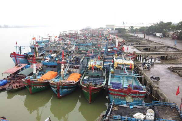 Giám đốc cảng cá ở Thanh Hóa bị đình chỉ công tác do đánh bạc