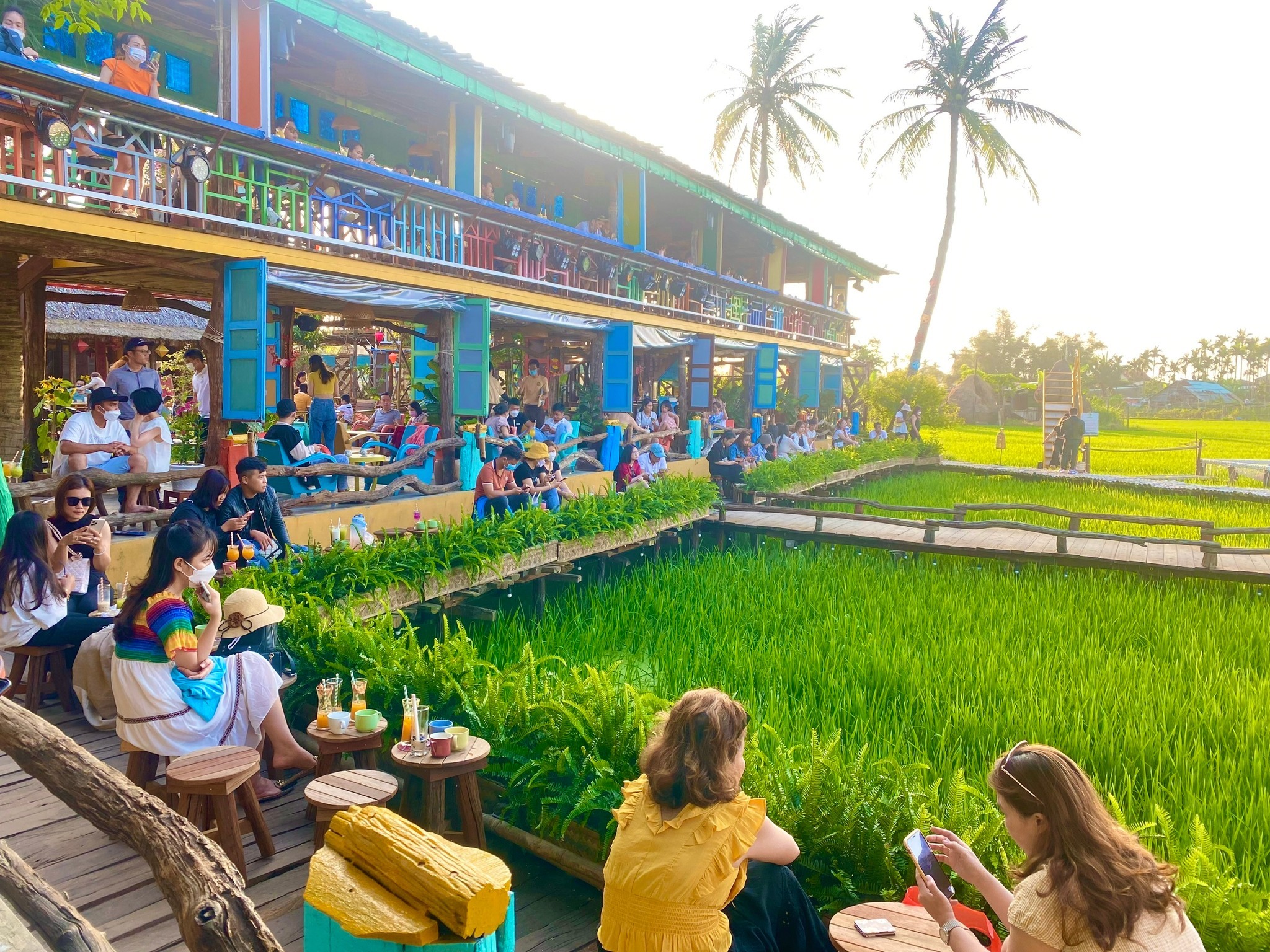 Loạt quán cà phê nằm trơ trọi giữa đồng, khách nườm nượp xếp hàng chờ 'phơi nắng'