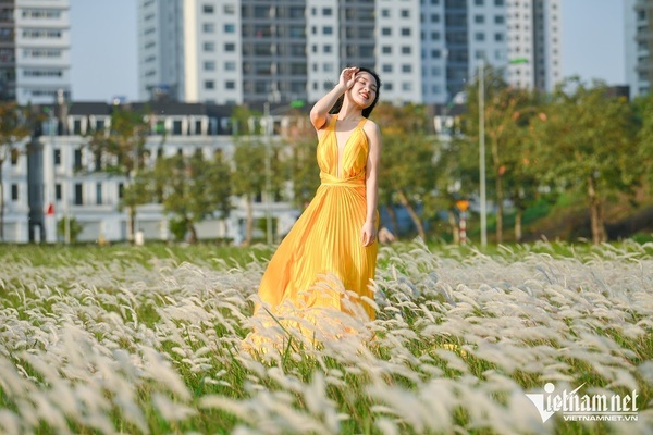 Bãi cỏ tranh trắng muốt nở rộ ở Hà Nội, khách chụp ảnh 'mộng mơ' quên nỗi lo Covid-19