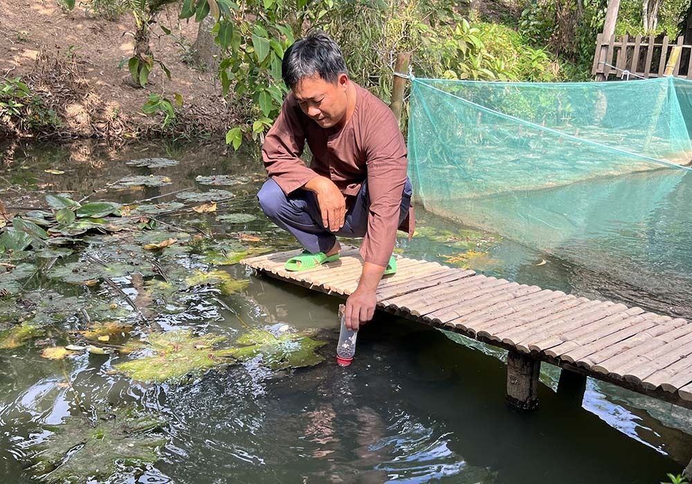 Farmer in Mekong Delta bottle-feeds fish