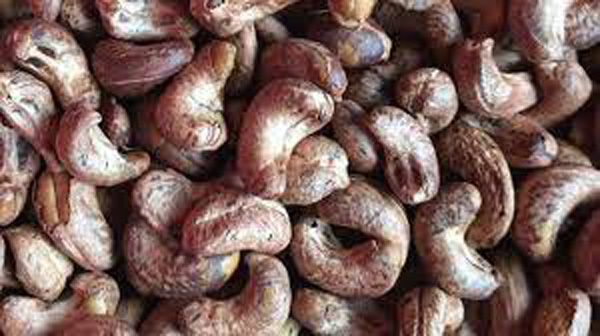 100 containers of cashew nuts exported to Italy suspected of being scammed