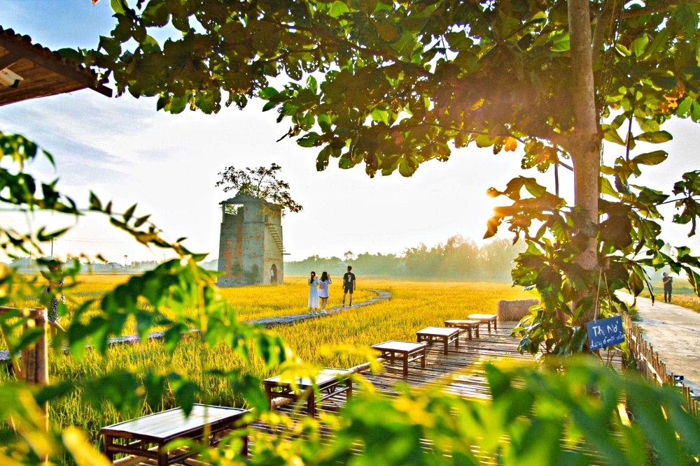 Cafes in the middle of the rice fields