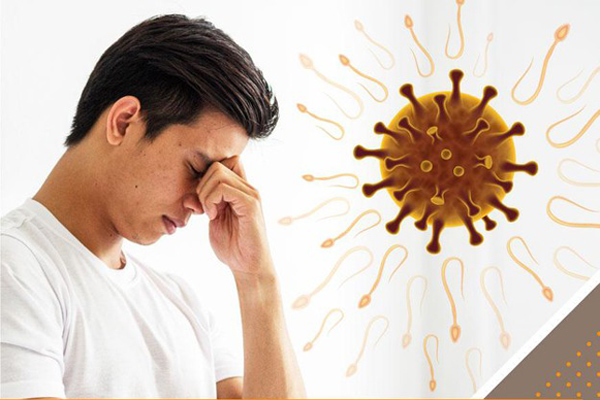 Di chứng sau nhiễm Covid-19 có thể khiến nam giới suy giảm tinh trùng, yếu sinh lý
