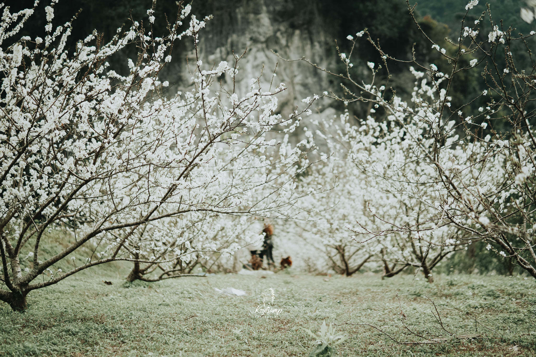 {keywords}