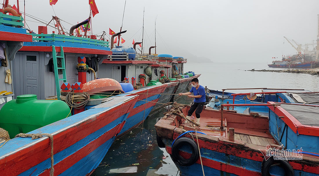 Nỗi lo chưa từng có, Lão ngư 41 năm bám biển không dám ra khơi