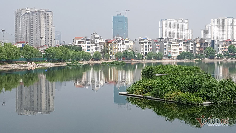Những 'lá phổi xanh' tự nhiên của Thủ đô sau khi được giải cứu