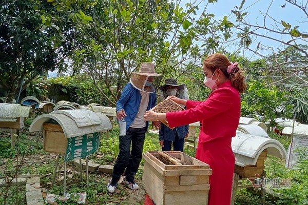 Infatuated with ‘vo vo’, a female Ha Tinh school employee earns billions every year