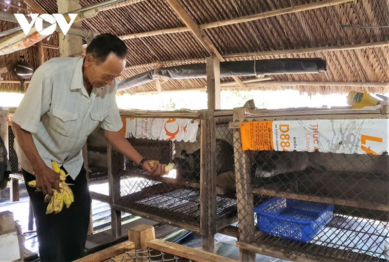 'Lão nông' miền Tây đổi đời nhờ nuôi loại động vật quý, hàng không đủ bán