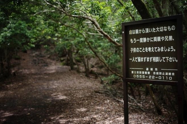 Bên trong khu rừng 'tự sát' u ám rợn tóc gáy ở sườn núi Phú Sĩ