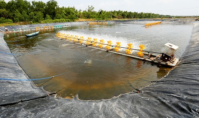 Sóc Trăng: Nhân rộng mô hình tiết kiệm điện sử dụng gối đỡ con lăn thay thế gối đỡ chữ U cho dàn quạt đến các hộ nuôi tôm