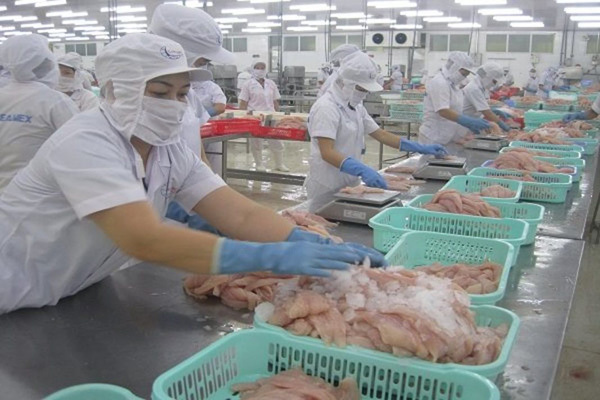 Many batches of seafood exports to China returned