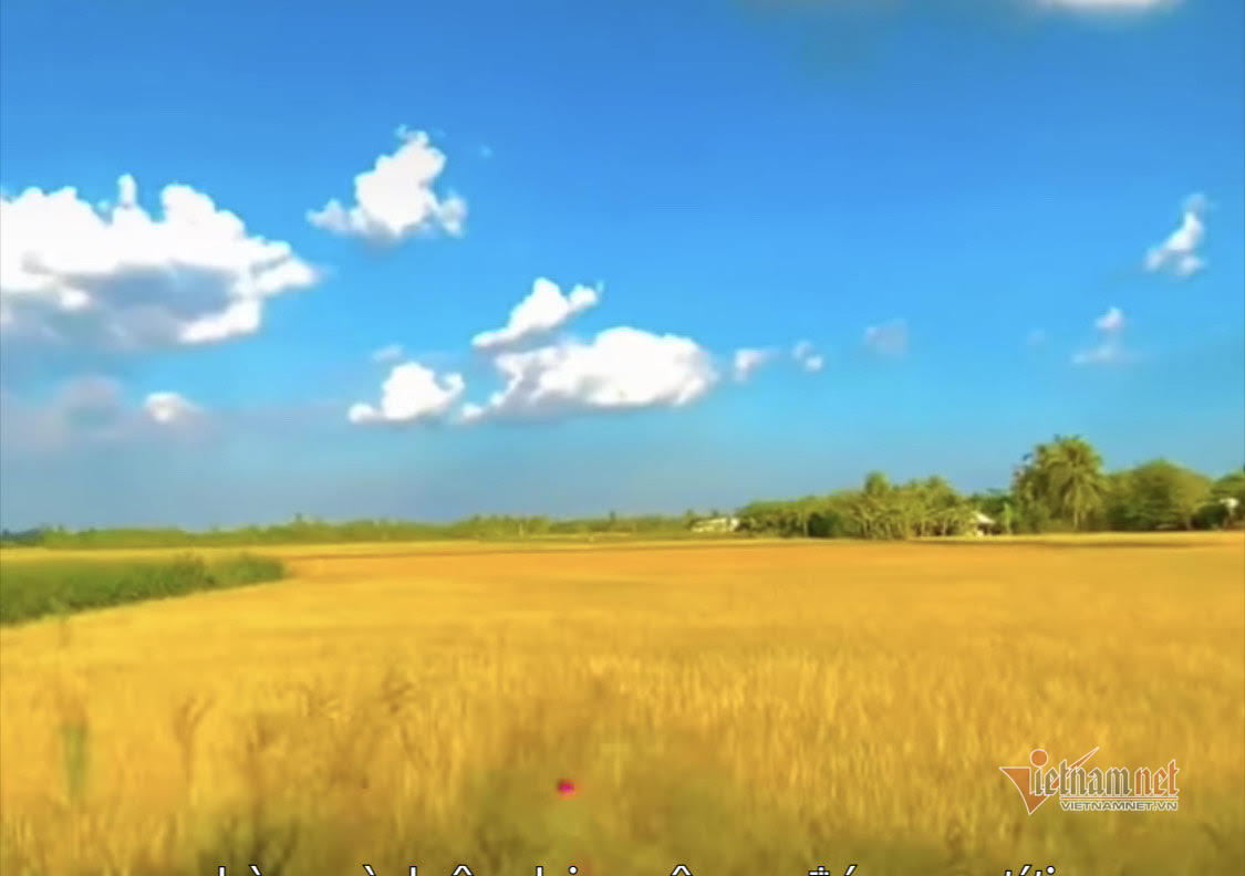 Định hướng mới để nông nghiệp Việt Nam bắt kịp thời cơ mới