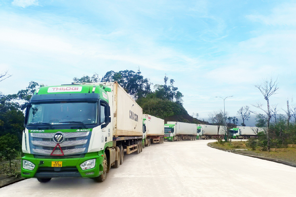 Giải pháp logistics cho doanh nghiệp qua cửa khẩu quốc tế Nam Giang