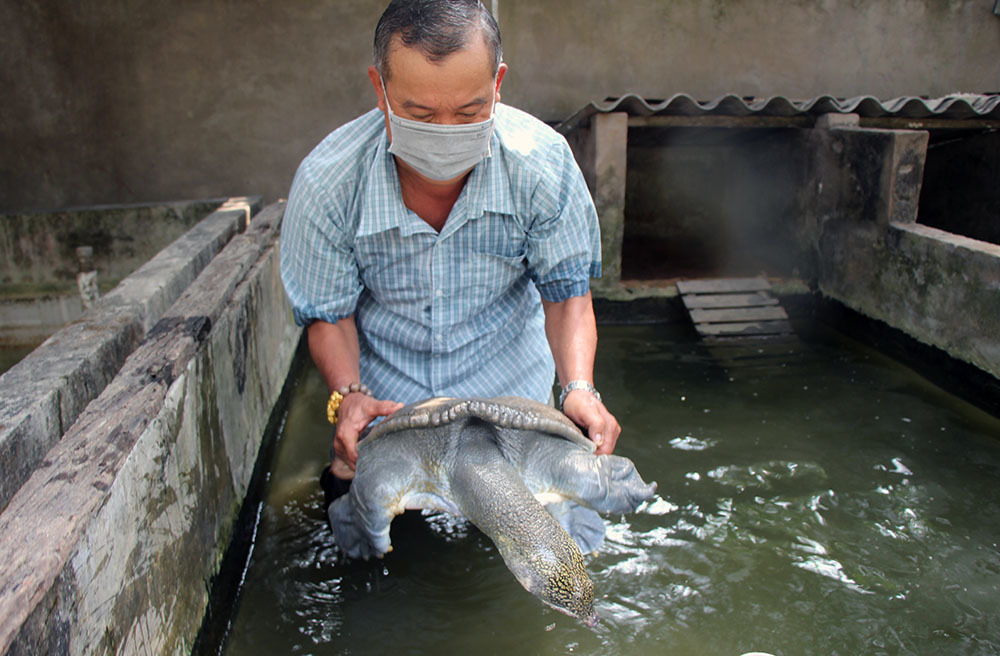 Sweeping gold to buy four-legged crabs, the old farmer in the West collected all the money