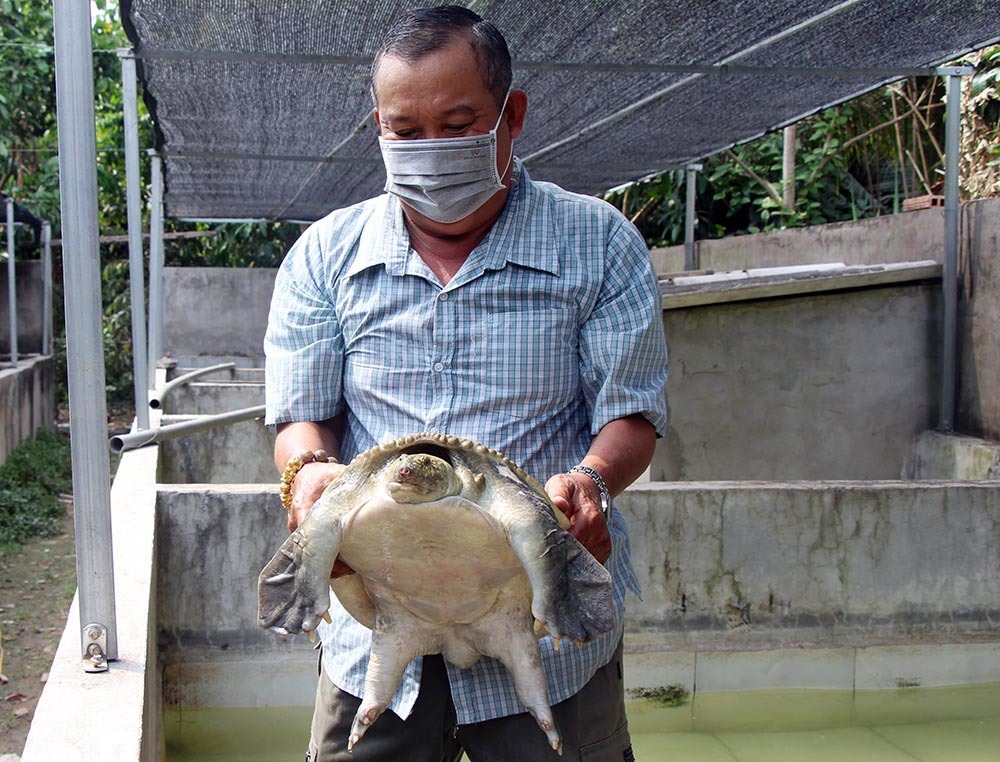 Sweeping gold to buy four-legged crabs, the old farmer in the West collected all the money