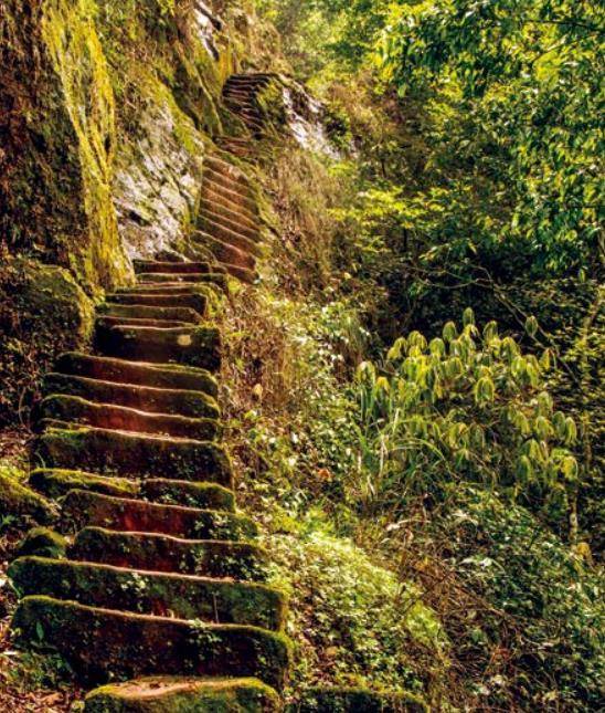 The man who led the widow to the mountain to hide for 50 years, chiseled 6208 stone steps by hand