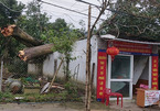 Mưa đá kèm lốc xoáy, hàng trăm ngôi nhà ở Nghệ An bị tốc mái